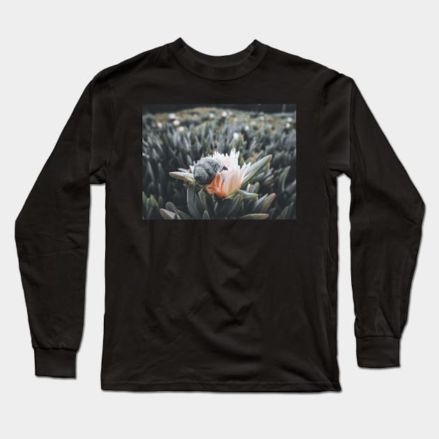 Snail Having Breakfast in Californian Yellow Flower Photo V3 Long Sleeve T-Shirt by Family journey with God